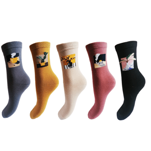 Dámské ponožky Aura.Via - NZ6925, mix barev Barva: Mix barev, Velikost: 35-38