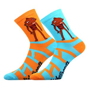 Dětské ponožky Boma - Lichožrouti, Rezek Barva: Mix barev, Velikost: 39-42