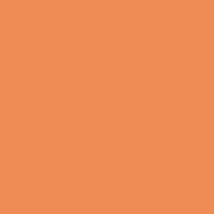Dámské kalhotky - ANDRIE PS 2019, vel. S-XL Barva: Oranžová, Velikost: 34/36-S