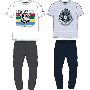 Harry Poter - licence Pánské pyžamo - Harry Potter 5304044, bílá / antracit kalhoty Barva: Bílá, Velikost: XL
