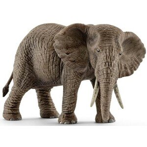 Schleich Samice slona afrického