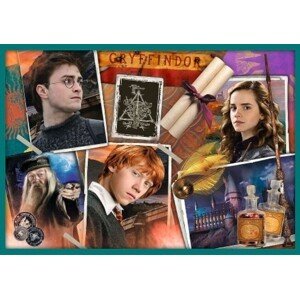 Trefl Puzzle 10v1 - Ve světě Harryho Pottera