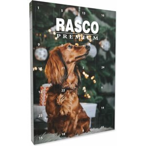 Kalendář Rasco Premium adventní