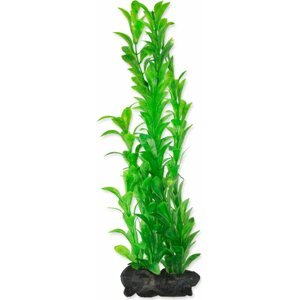 Dekorace Tetra Rostlina Hygrophila L 30cm