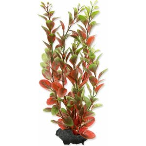 Dekorace Tetra Rostlina Red Ludwigia M 23cm