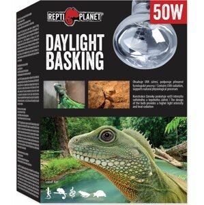 Žárovka Repti Planet Daylight Basking Spot 50W