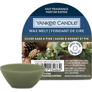 Yankee Candle, Stříbrná šalvěj a borovice, Vonný vosk 22 g